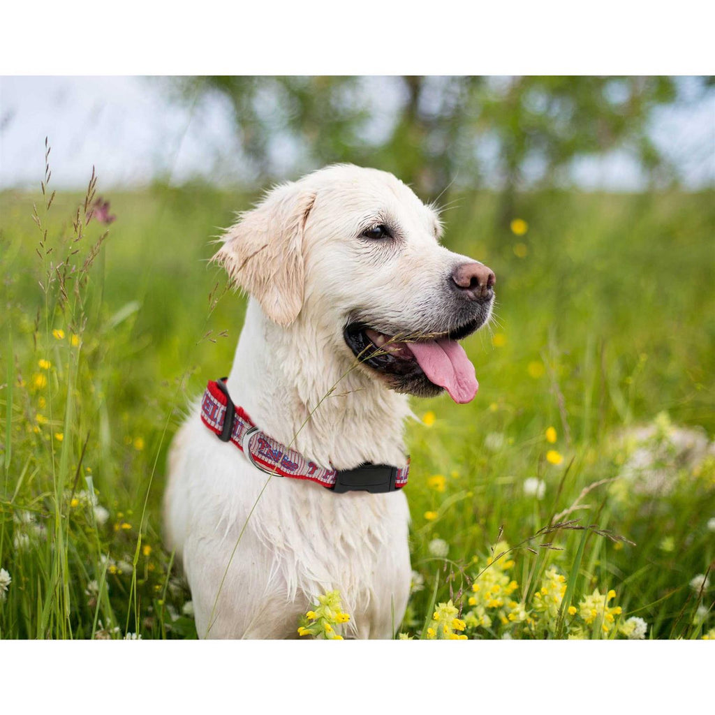 Pet Dog Collar L70769