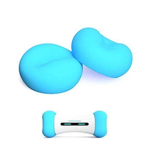 Interactive Dog Toy W46421