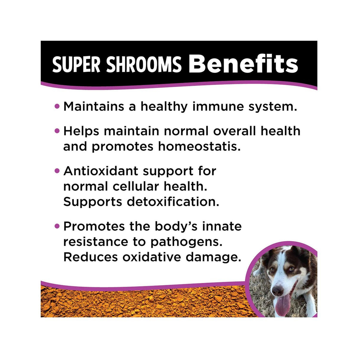 Super Shrooms O3088