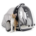 Expandable Cat Backpack Carrier with Bubble Window G266284