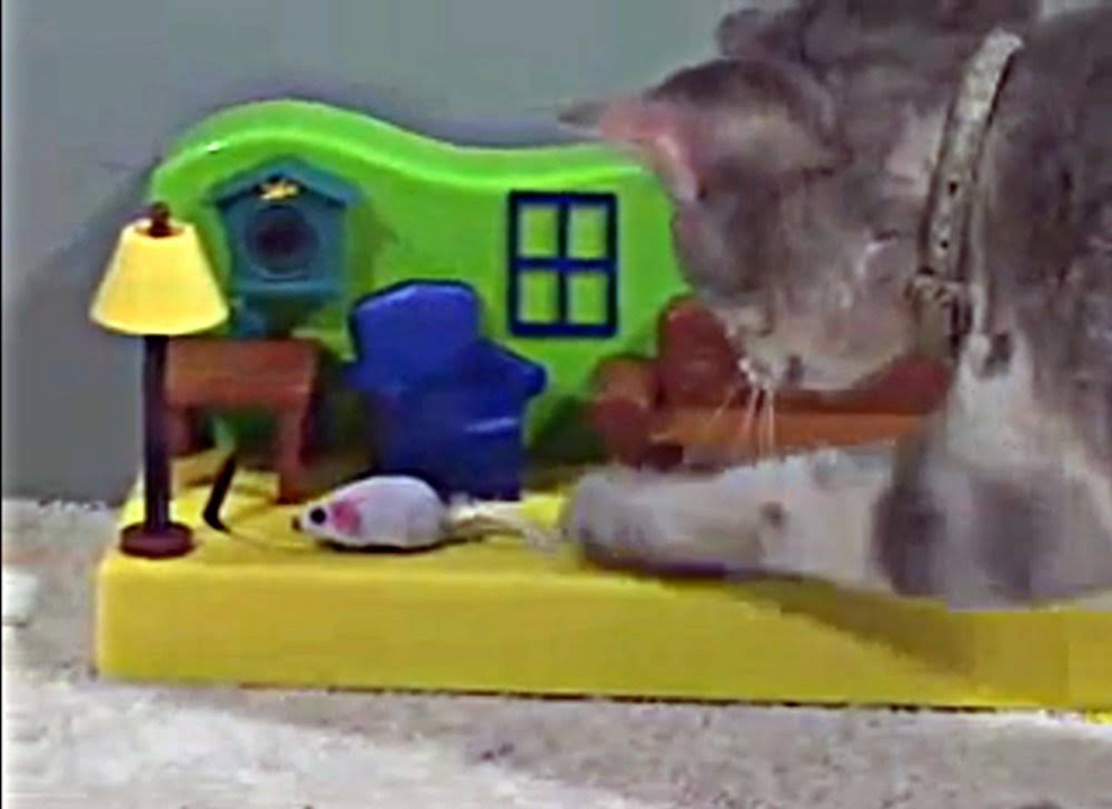 Mouse in The House N17633