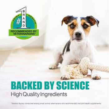 Joint Health Supplement for Large Dogs R833