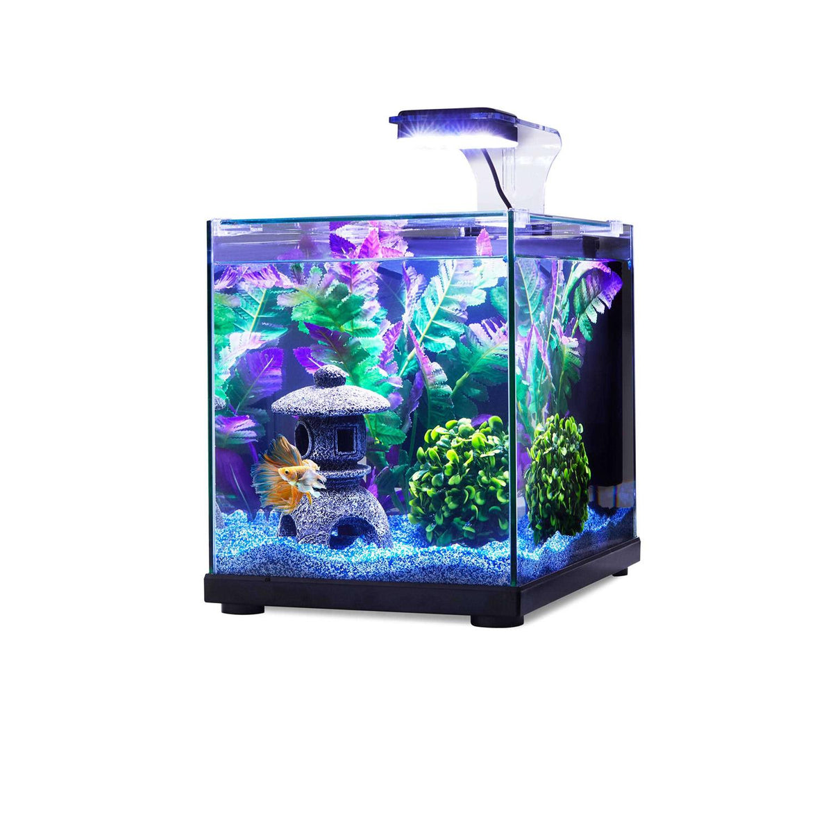 Glass Aquarium B5190