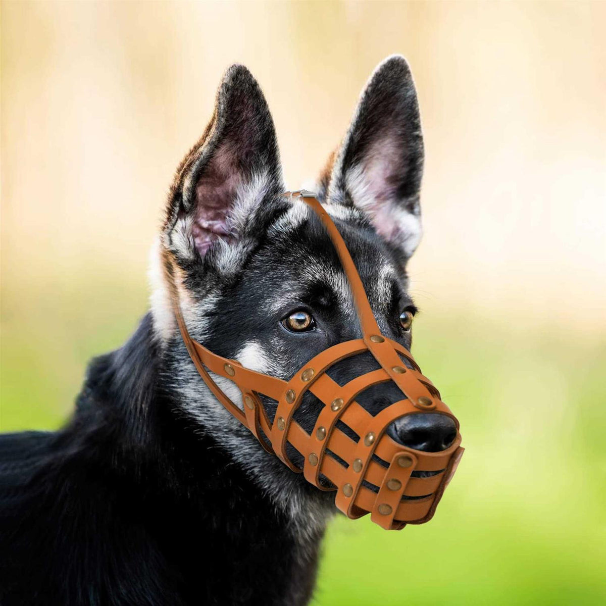 Leather Dog Muzzle Adjustable Breathable Medium Large Breeds Y144928