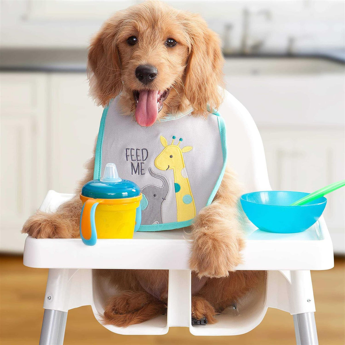 Puppy Dog Food J16261