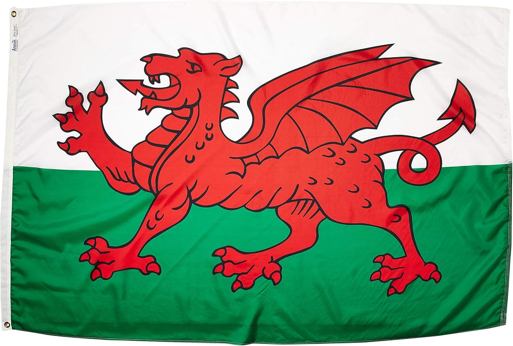 International Flag 5x8' O8152