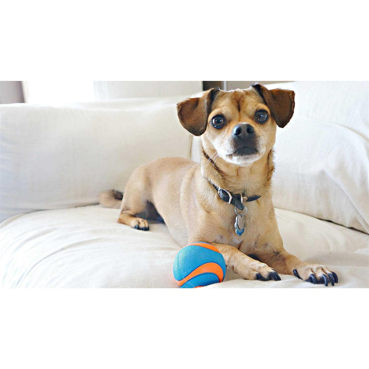 Ball B5653