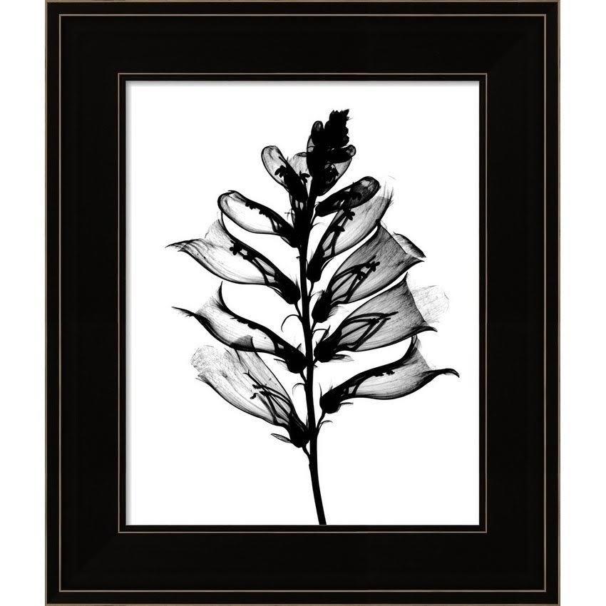 Framed Art Wood Black Q852