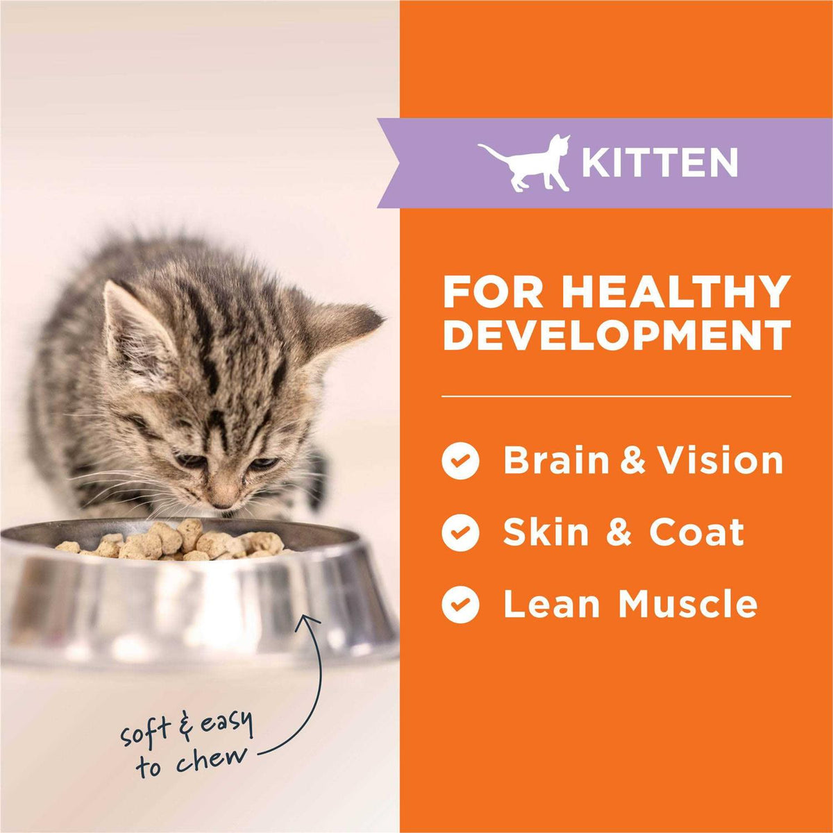 Freeze Dried Kitten Food V213231