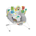 Vibrating Baby Bouncer W558