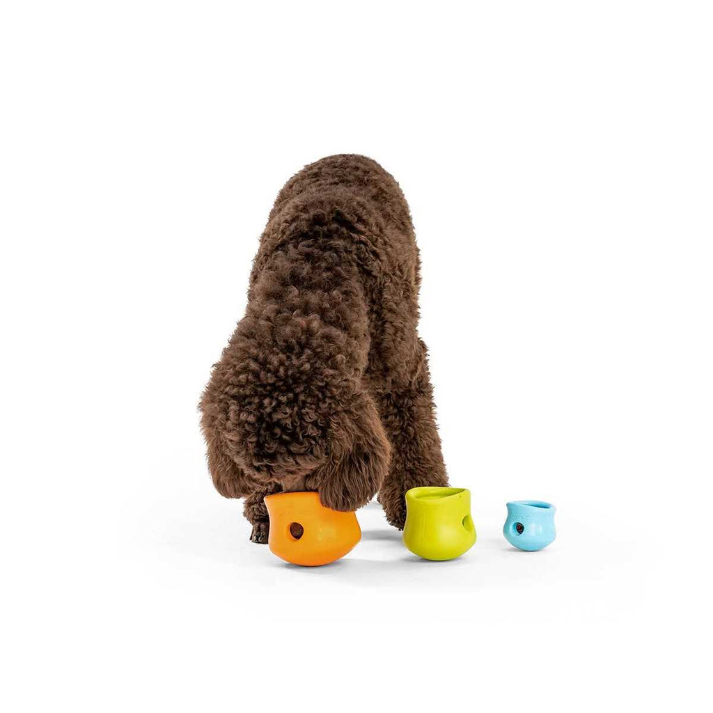 Dog Toy B2589