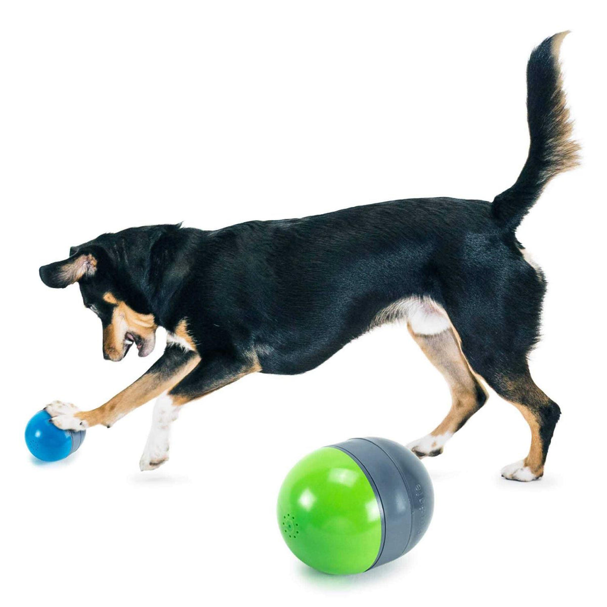 Electronic Dog Toy S522667