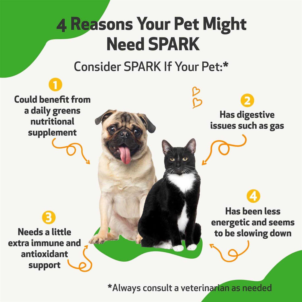 Daily Nutritional Supplement for Dogs and Cats B857