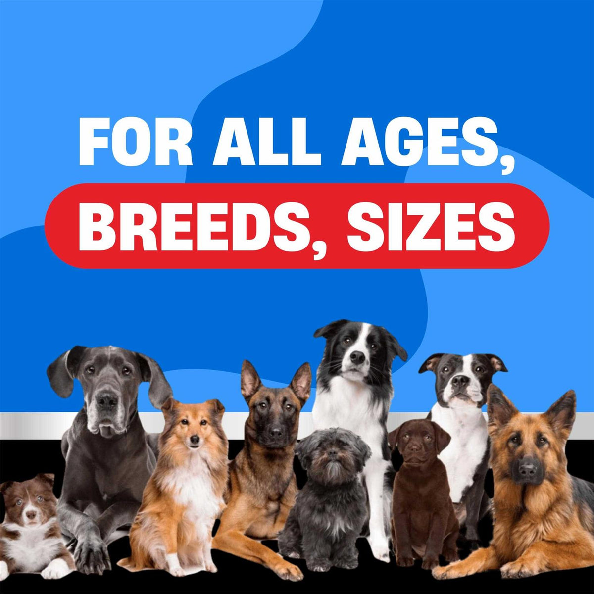 Dog Flea and Tick Chewable Tablets A9433