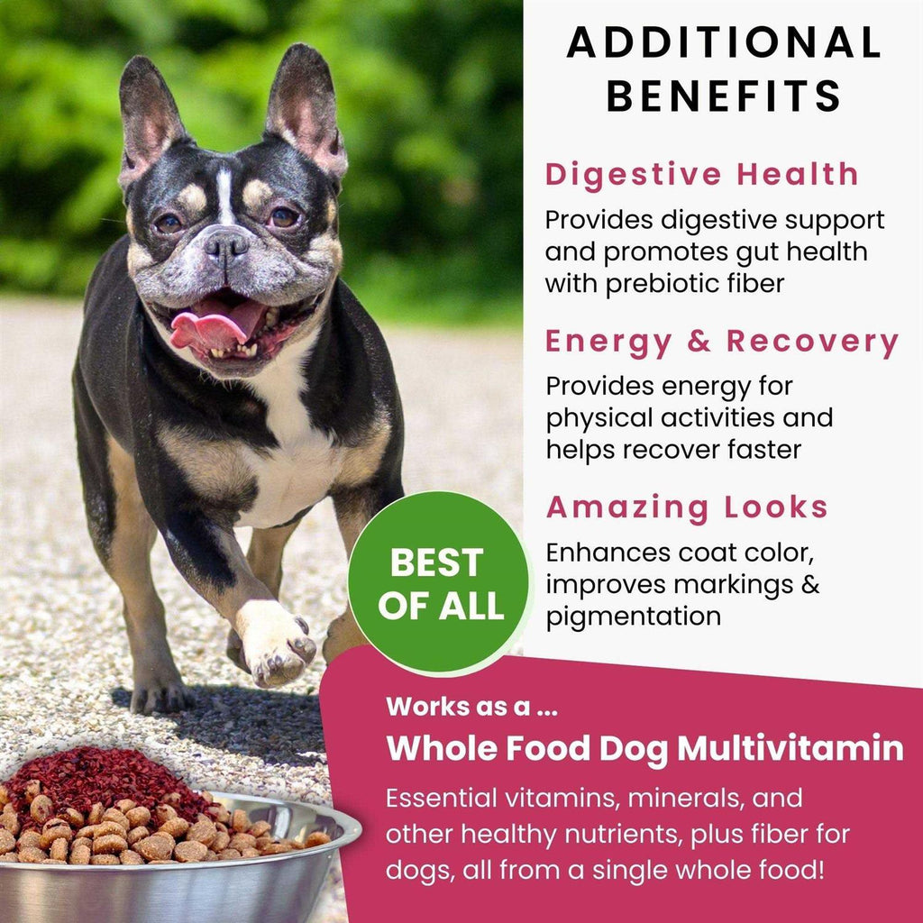 Dehydrated Red Beets Dog Food Supplement B696
