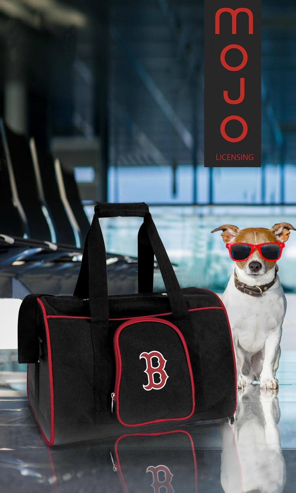 Premium Pet Carrier F613397