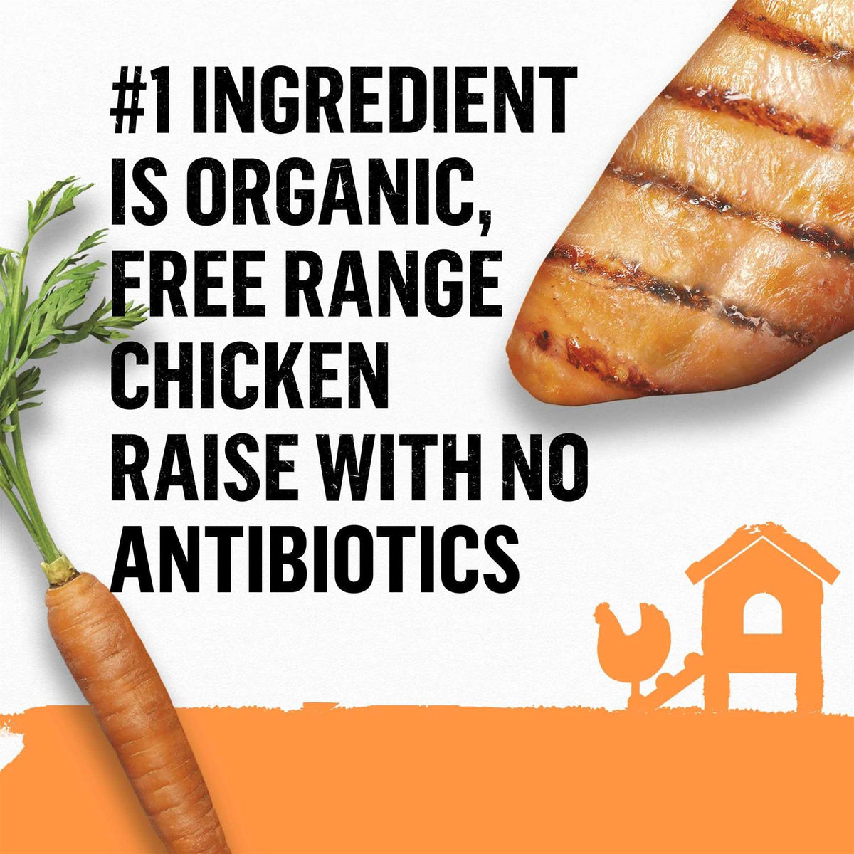 Organic Chicken Recipe Wet Dog Food N828758
