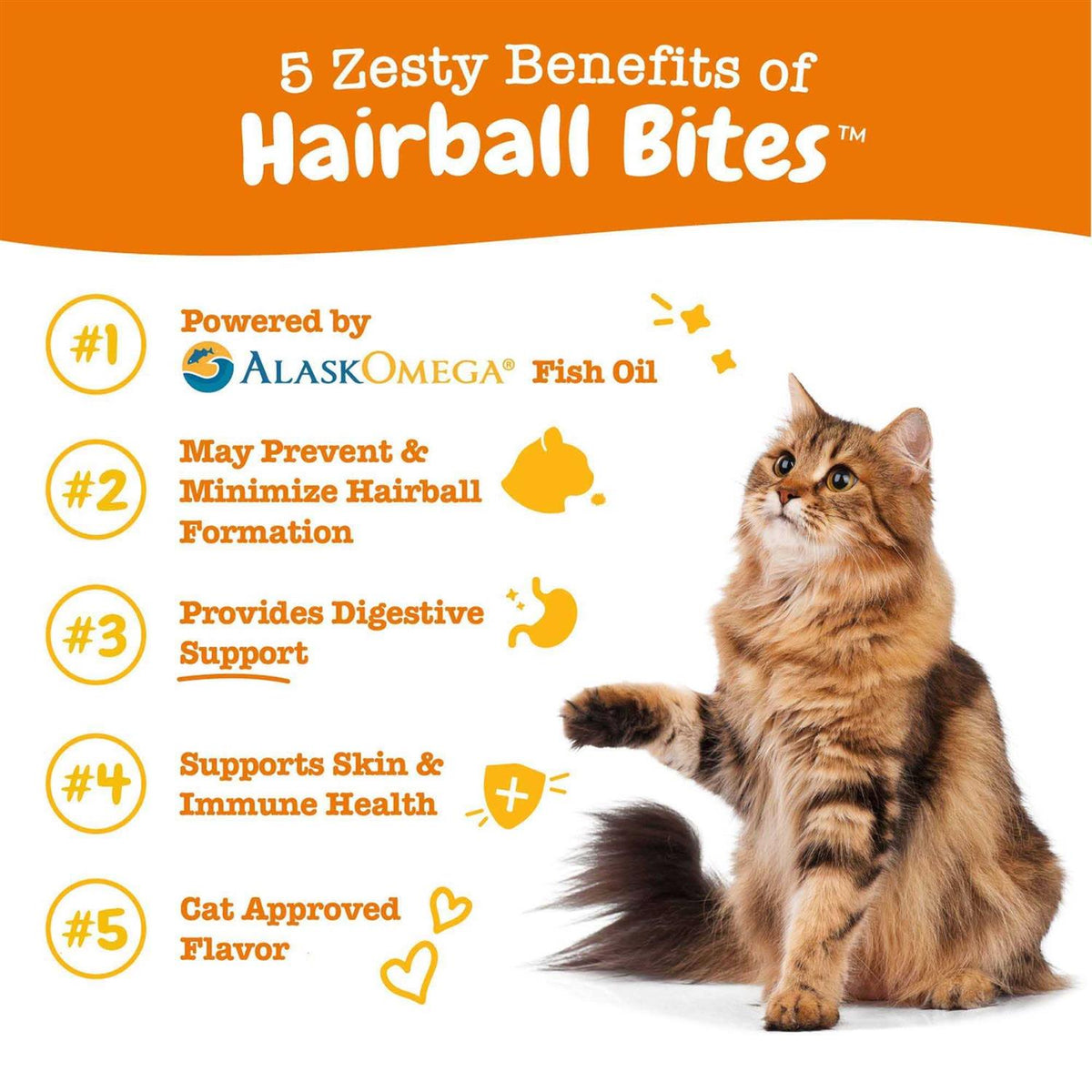 Hairball Bites for Cats E37722