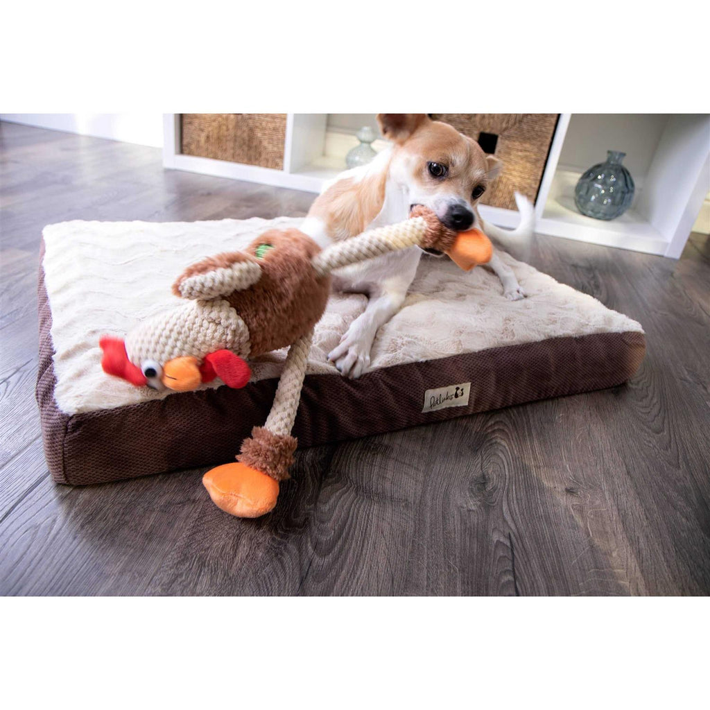 Skinny Rooster Dog Toy Z662118