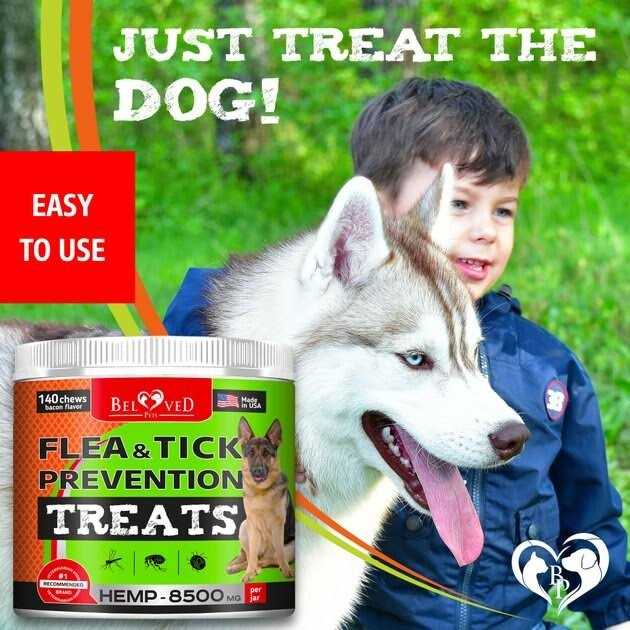 Flea and Tick Prevention Treats for Dogs F253180
