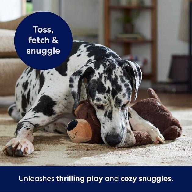 Plush Squeaky Dog Toy F483123