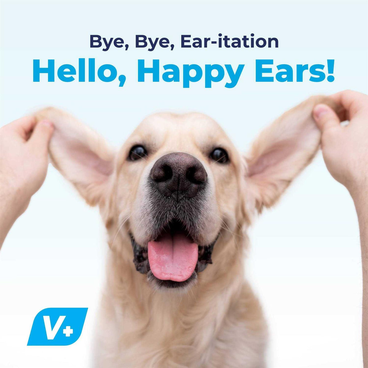 Ear Drops for Dogs & Cats with Hydrocortisone X5661