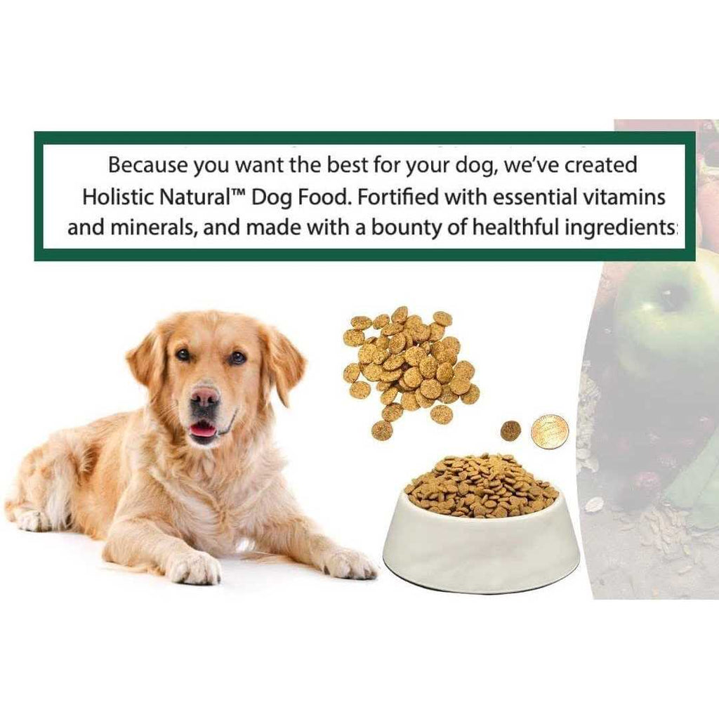 Natural Adult Dry Dog Food Chicken Meal and Brown Rice 6.6 lb Bag F67618