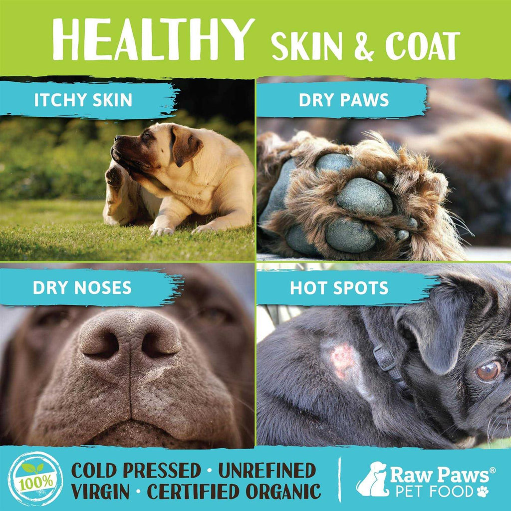 Organic Coconut Oil for Dogs & Cats C857678