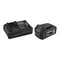 20V 5 Ah Lithium-Ion Battery and 4 Amp Charger Starter Kit O553