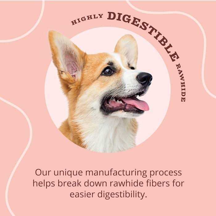 Real Dog Treats G515