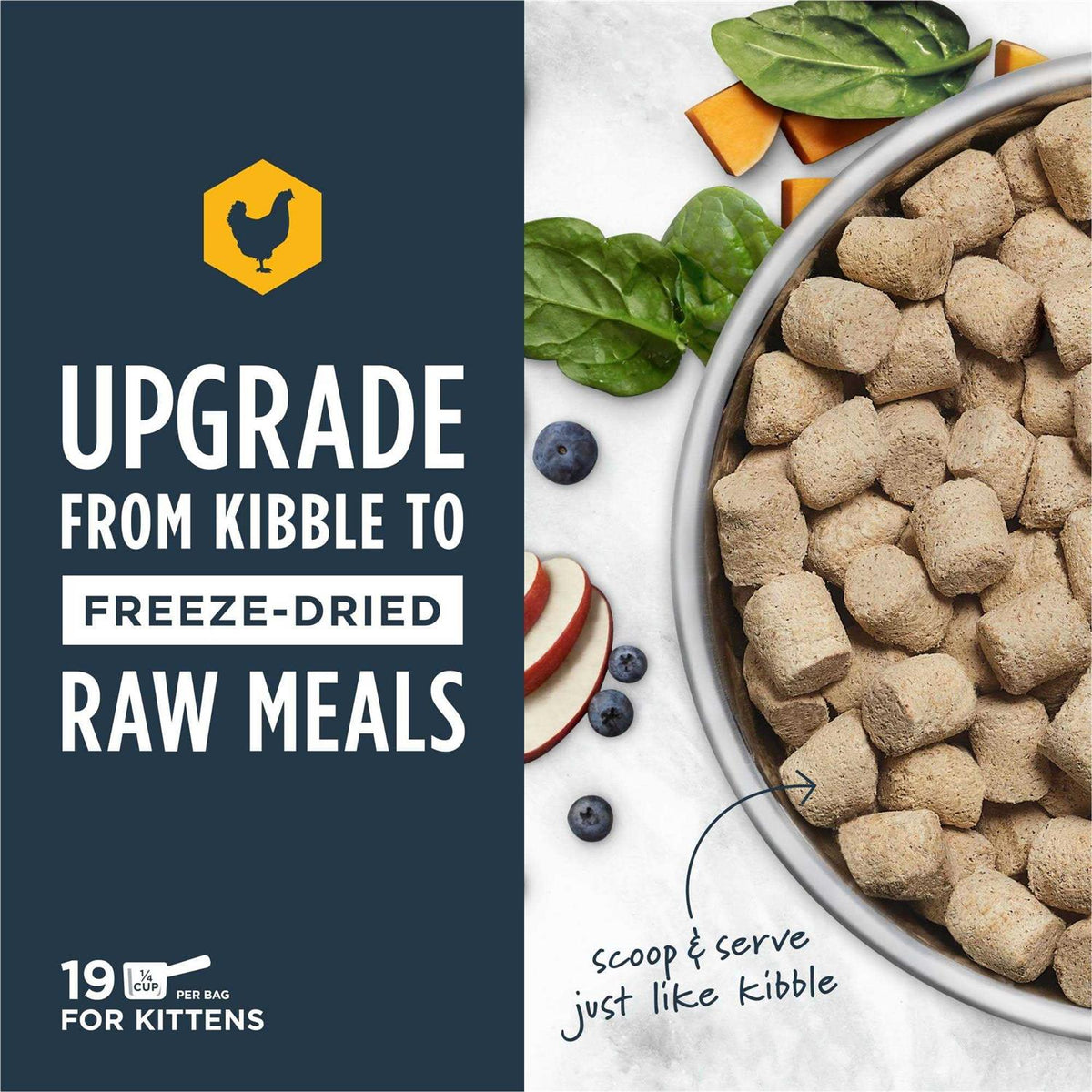 Freeze Dried Kitten Food V213231