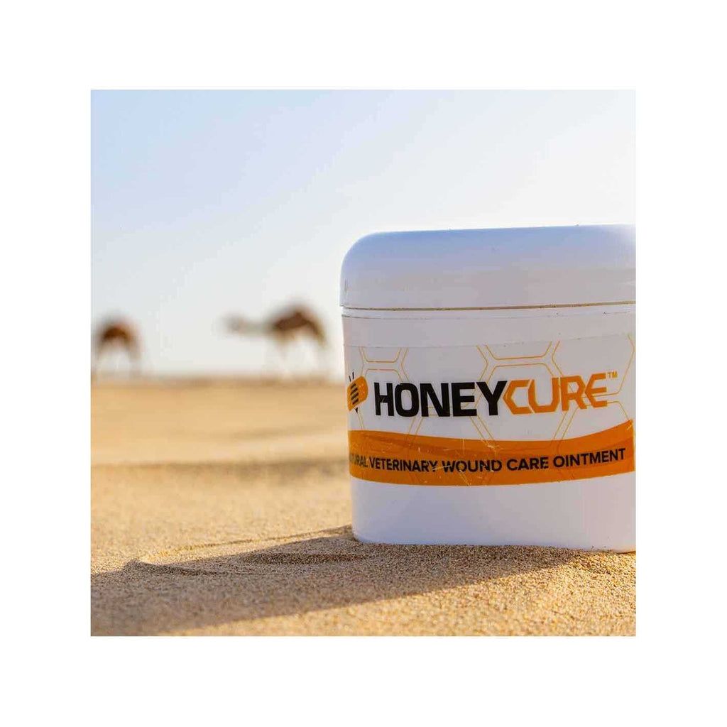 Natural Veterinary Ointment R5892