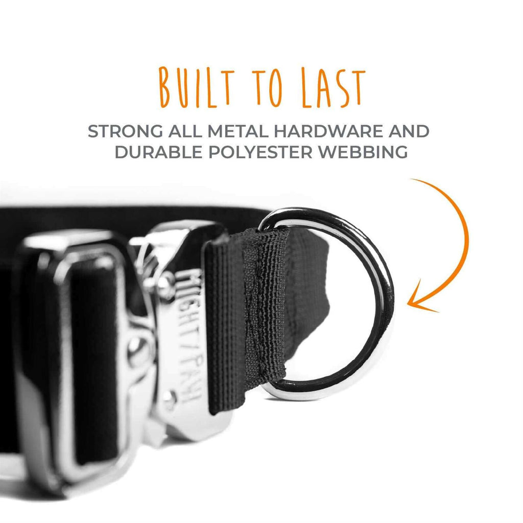Heavy Duty Dog Collar with Metal Buckle G290