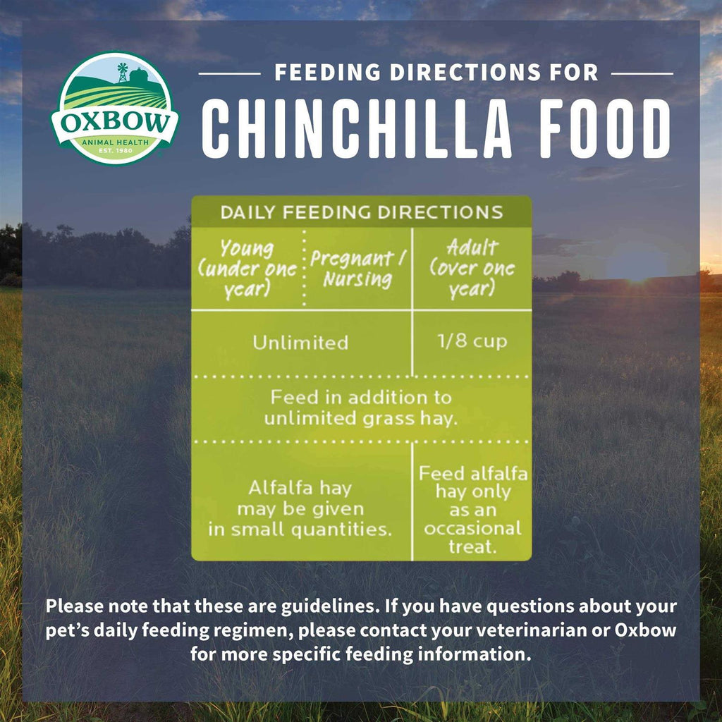 Chinchilla Food I424978