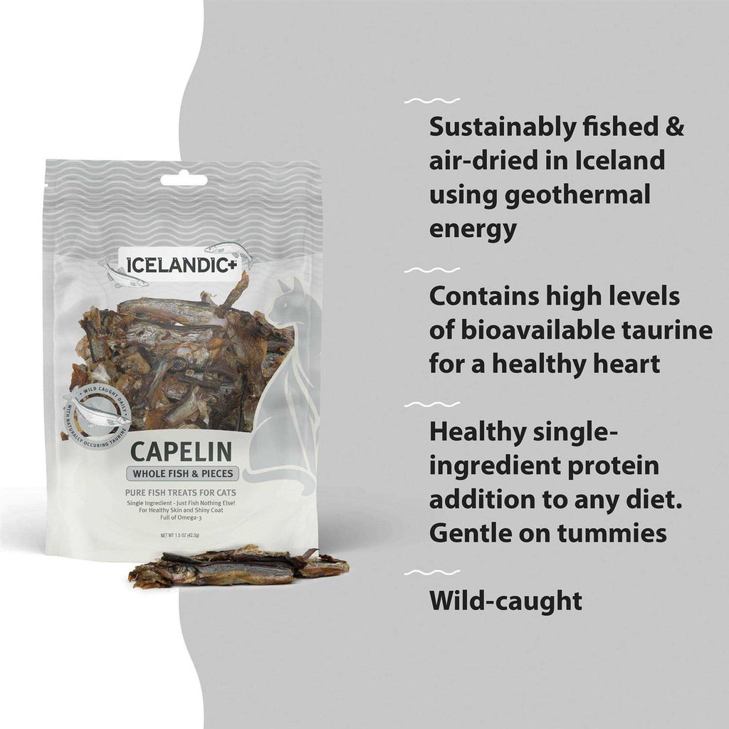 Whole Fish Cat Treats N954