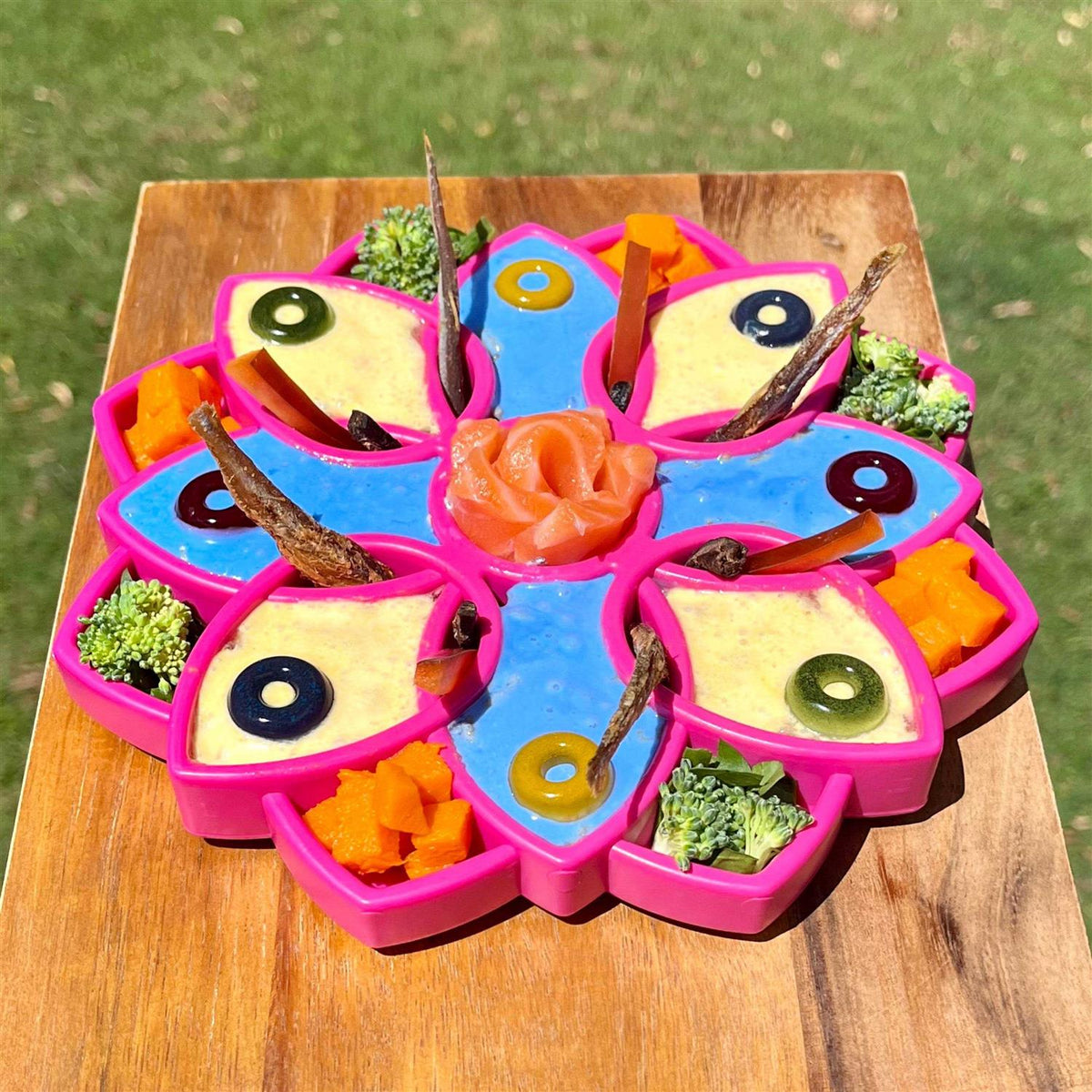 Mandala Design Enrichment Tray for Dogs X53019
