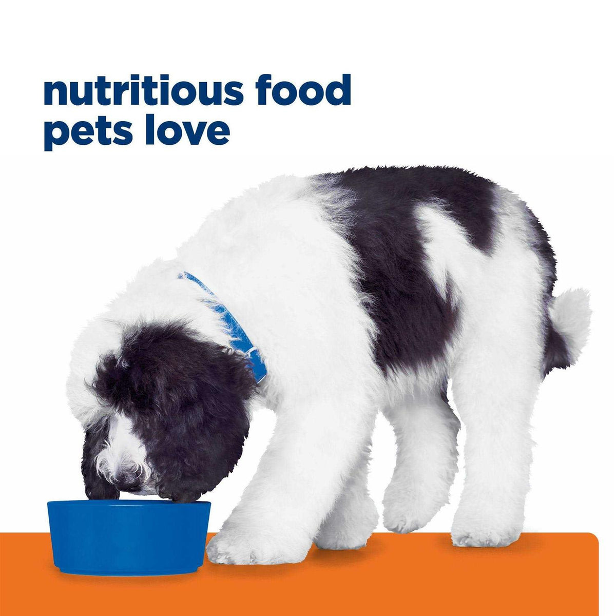 Chicken Flavor Canned Dog Food A70207