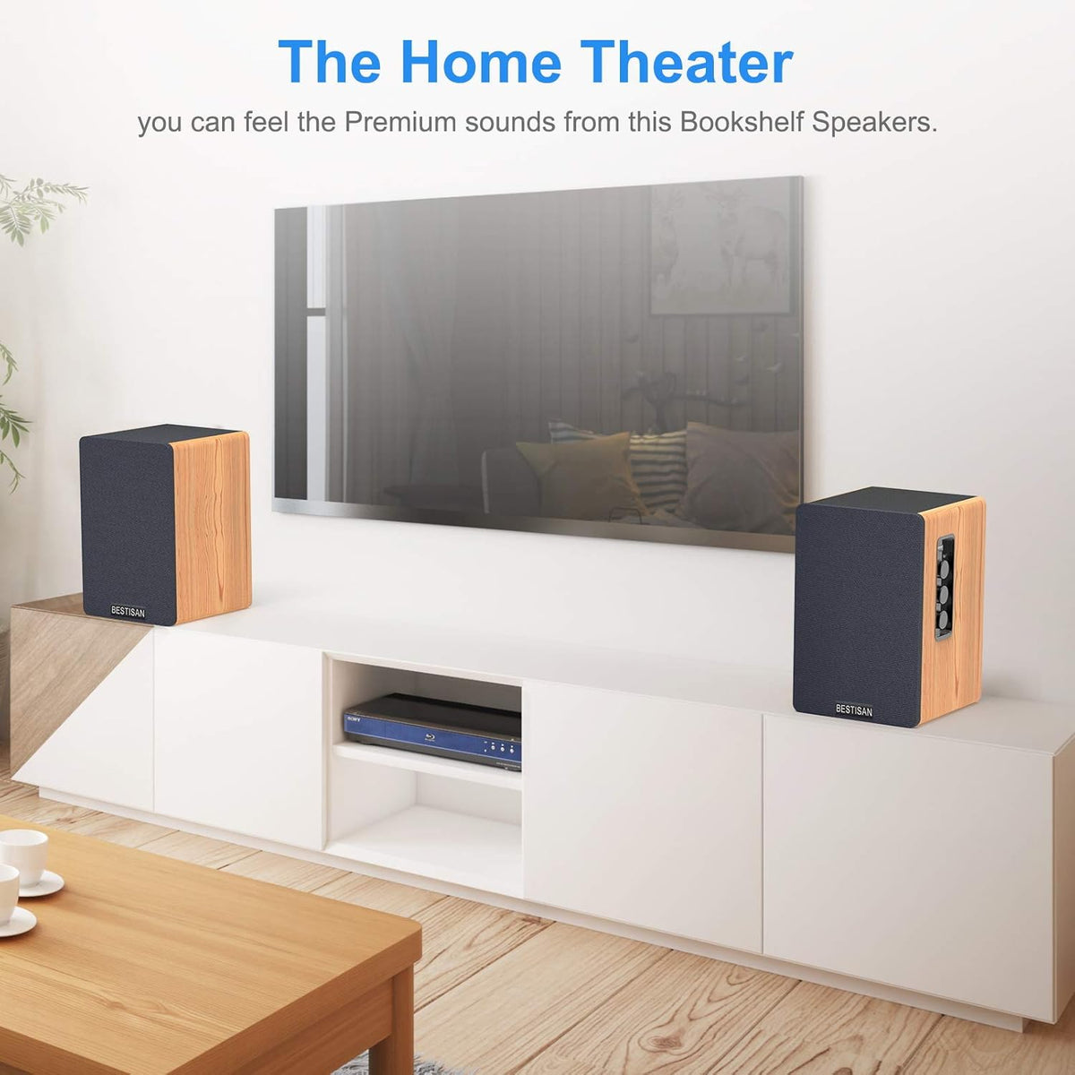 50W Bluetooth Bookshelf Speakers T16343