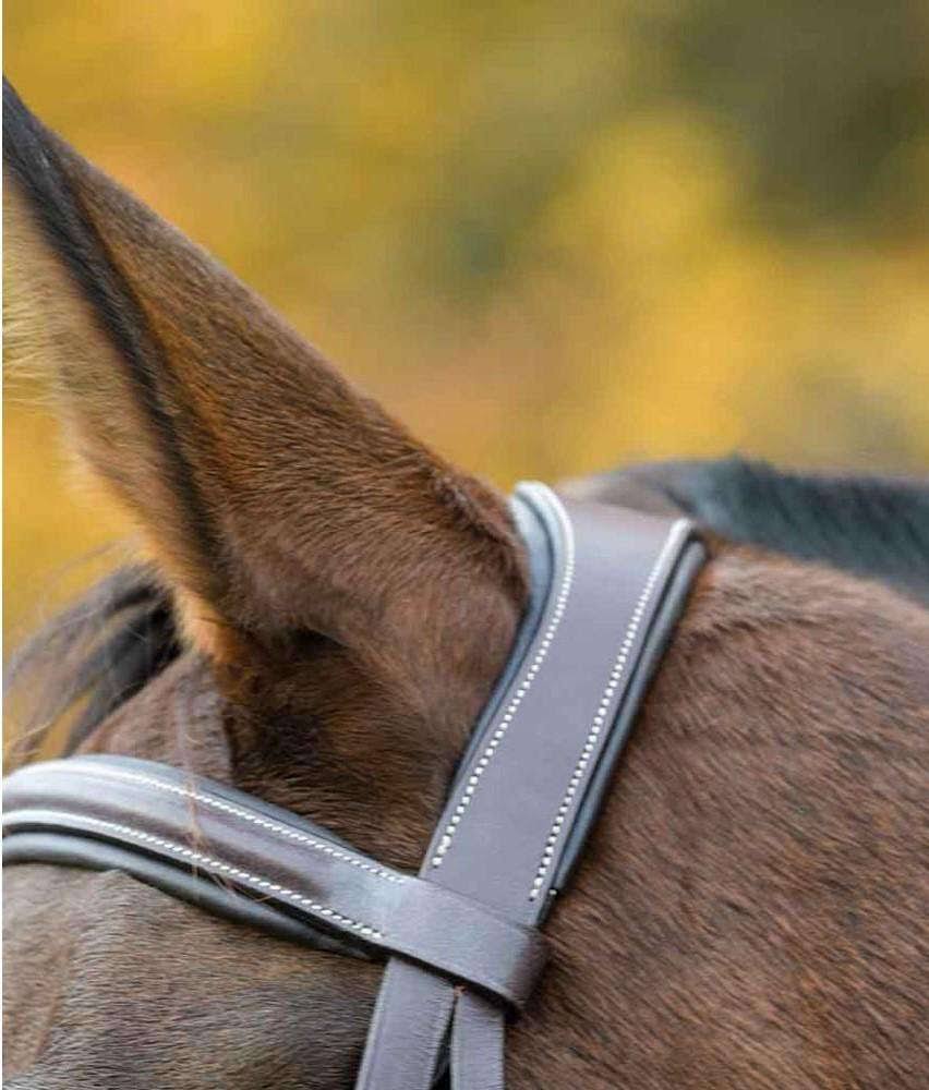 Havana Bridle E893
