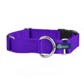 Martingale Dog Collar Y3421