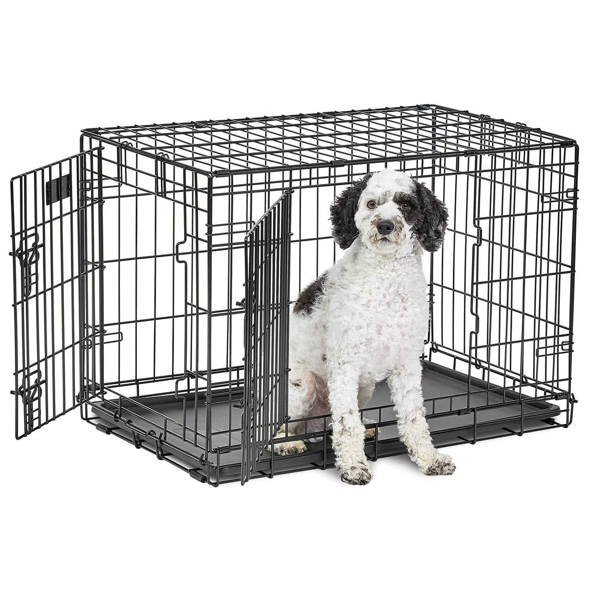 Double Door Dog Crate L163836