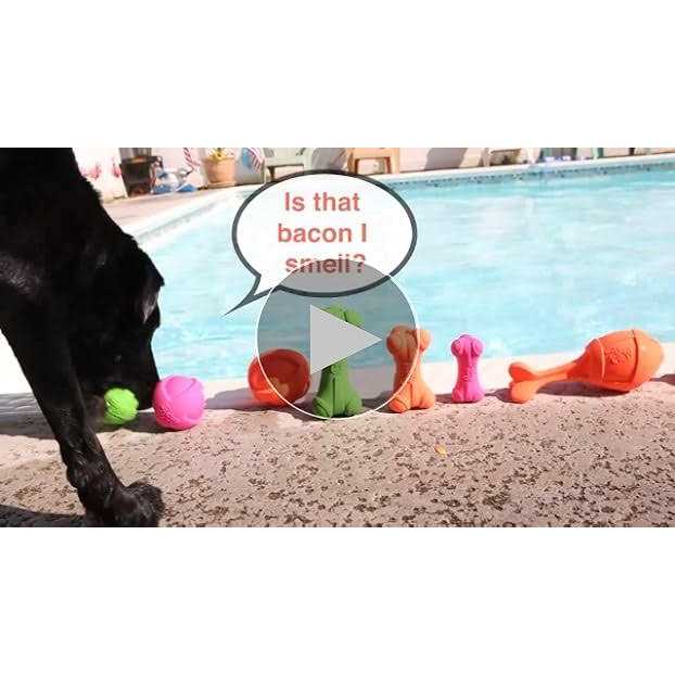 Squeaky Latex Dog Toy M401129
