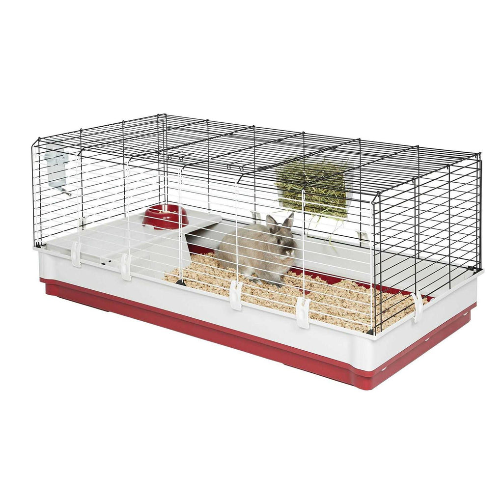 Rabbit Home X13322