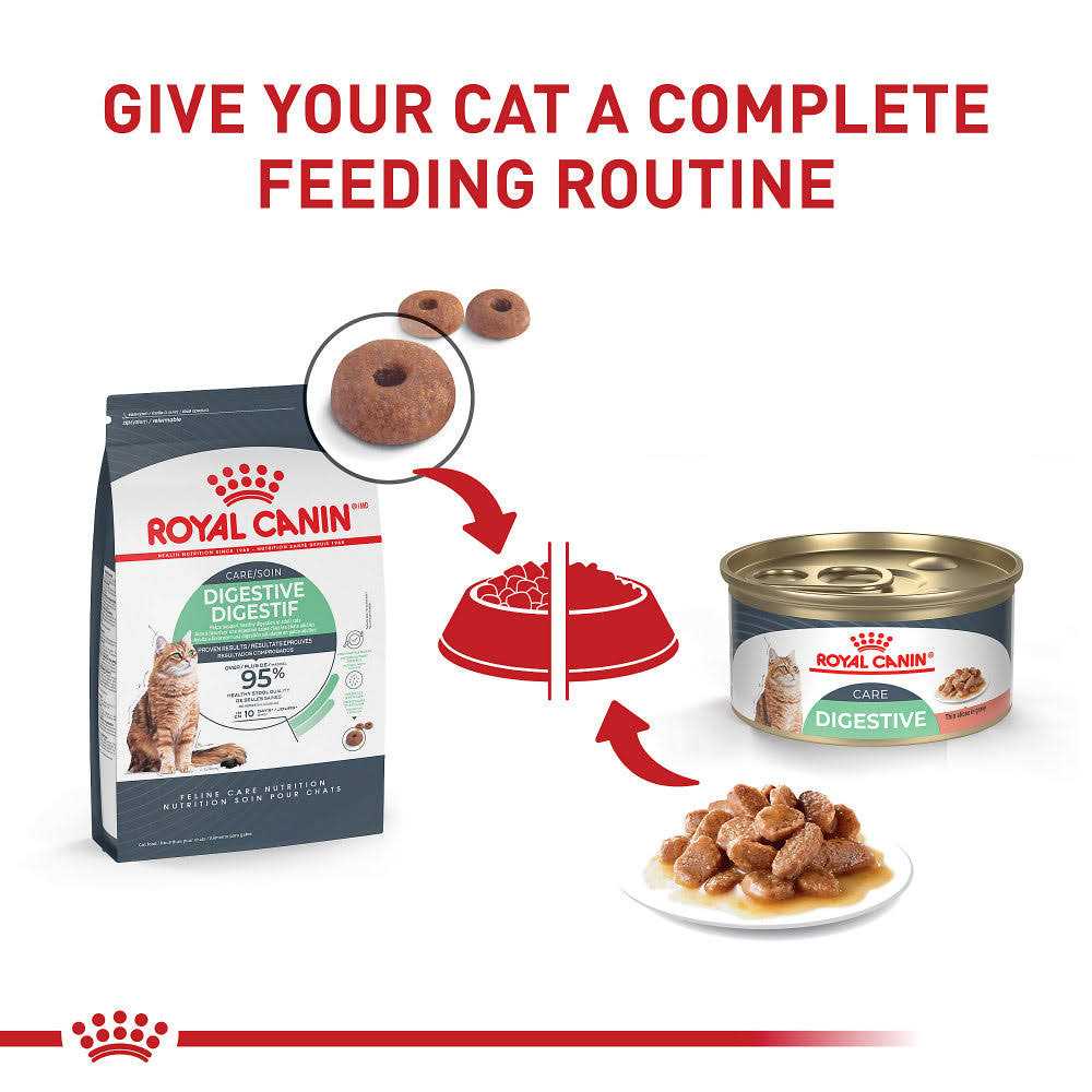 Canned Cat Food 3-oz Z335035