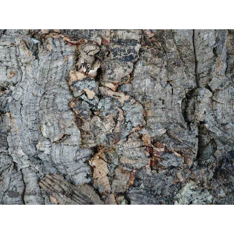 Natural Virgin Cork Sheet F33479