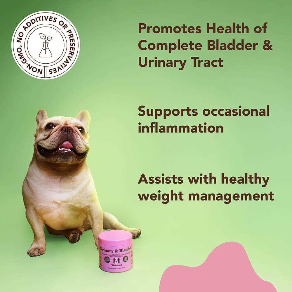 Urinary & Bladder Supplement for Dogs K958
