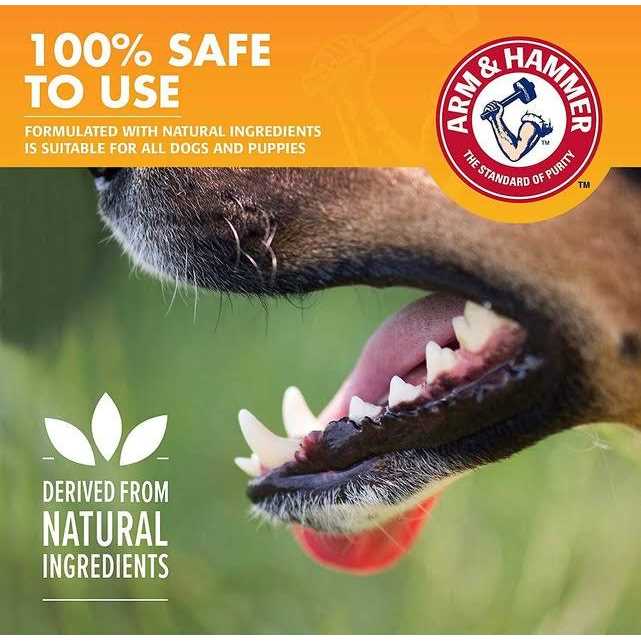 Fresh Breath Dental Kit for Dogs A791231