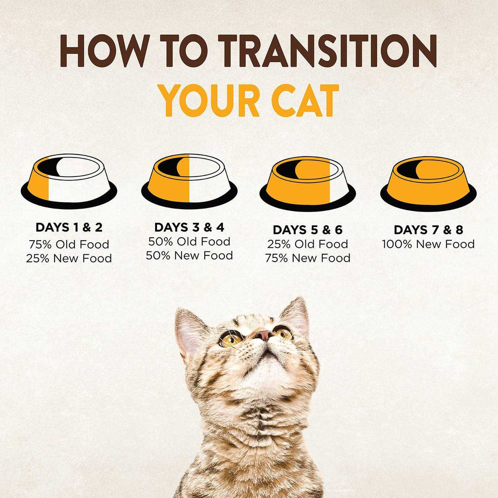 Dry Cat Food V373208