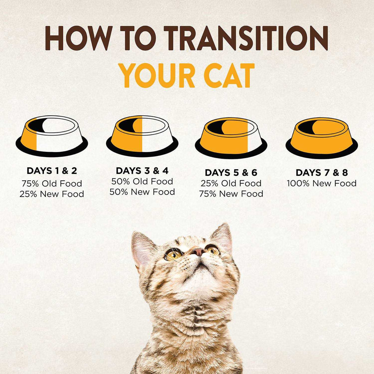 Dry Cat Food V373208