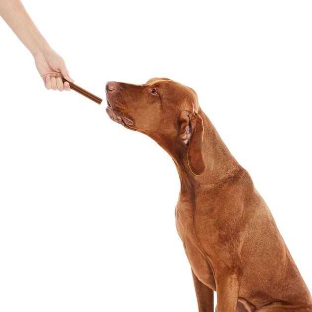All-Natural Dental Chew Sticks C413